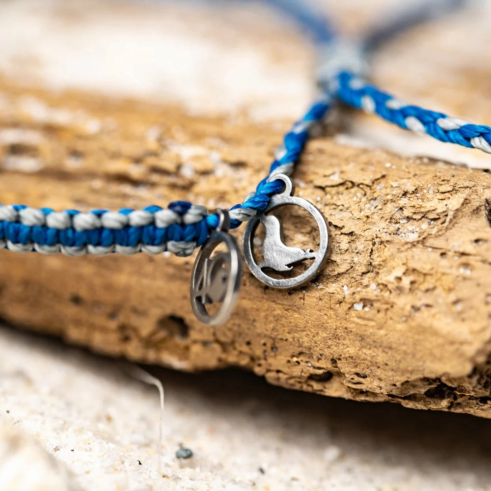 4Ocean November 2024 Limited Edition Seal Bracelet
