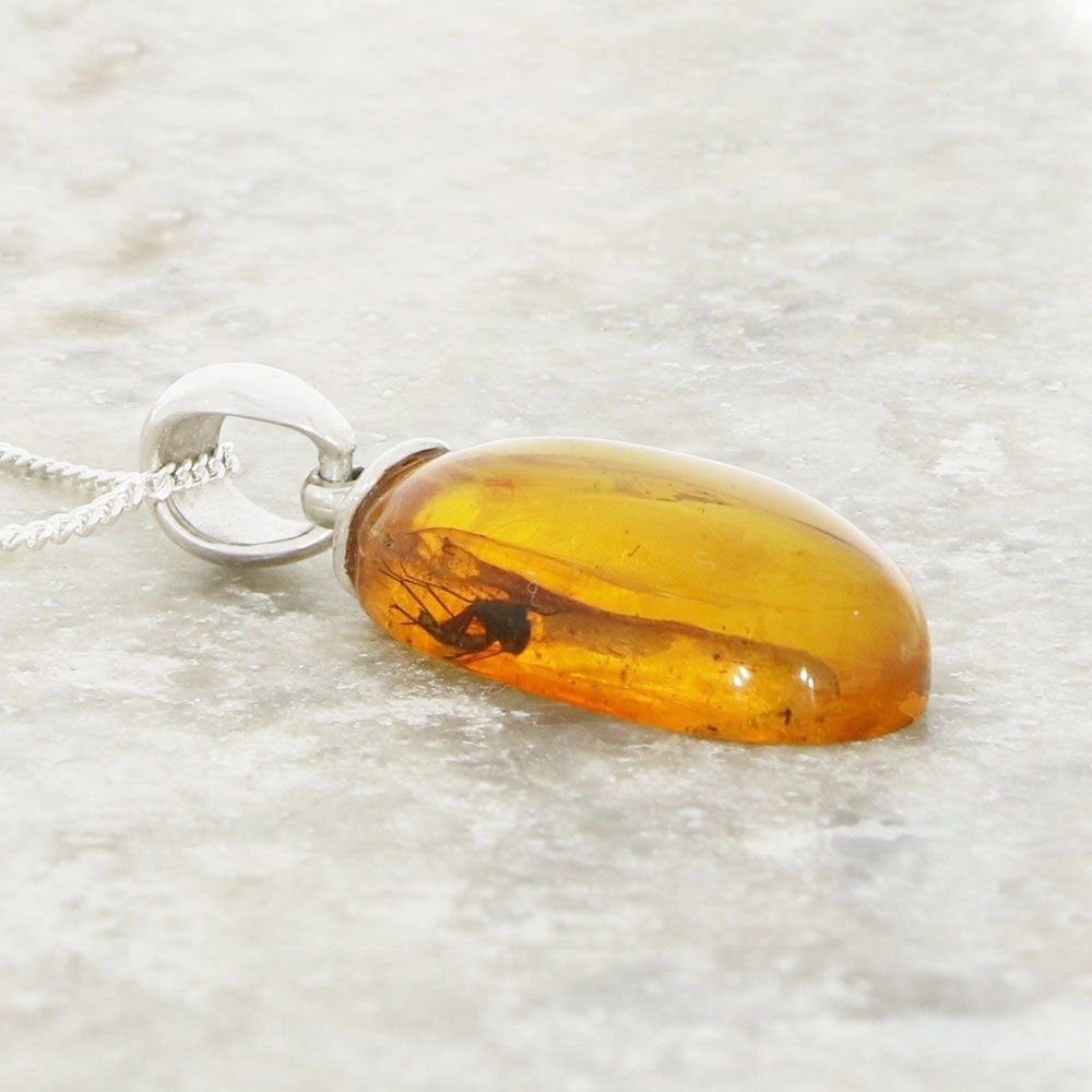 Amber With Insect Sterling Silver Pendant and Chain