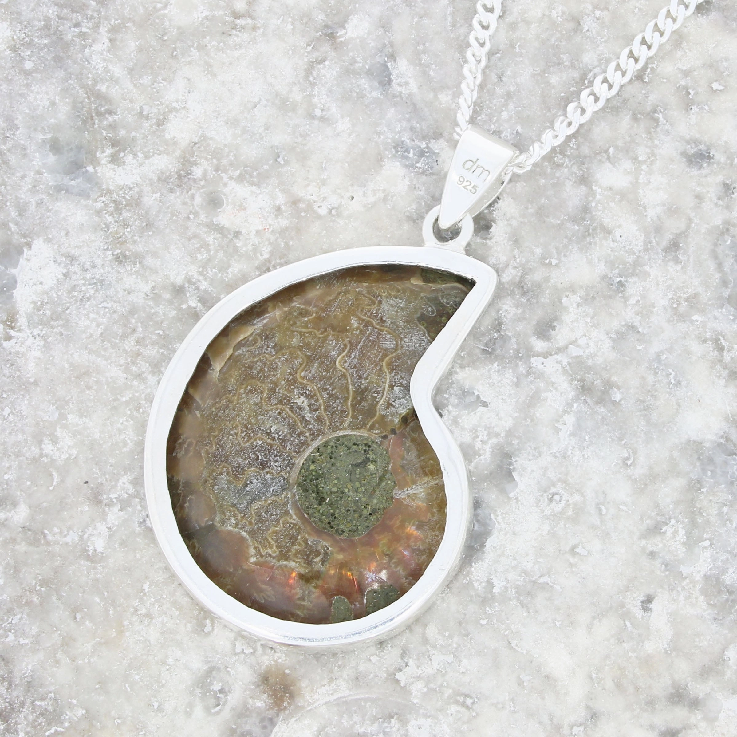 Ammonite Sterling Silver Pendant and Chain