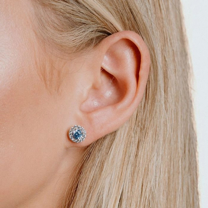Diamonfire Sterling Silver Sky Blue Cubic Zirconia Earrings E5776