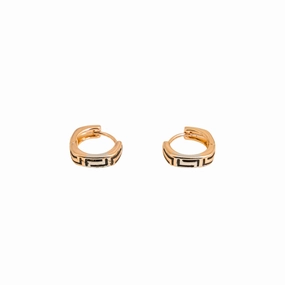 Earrings- J0608474