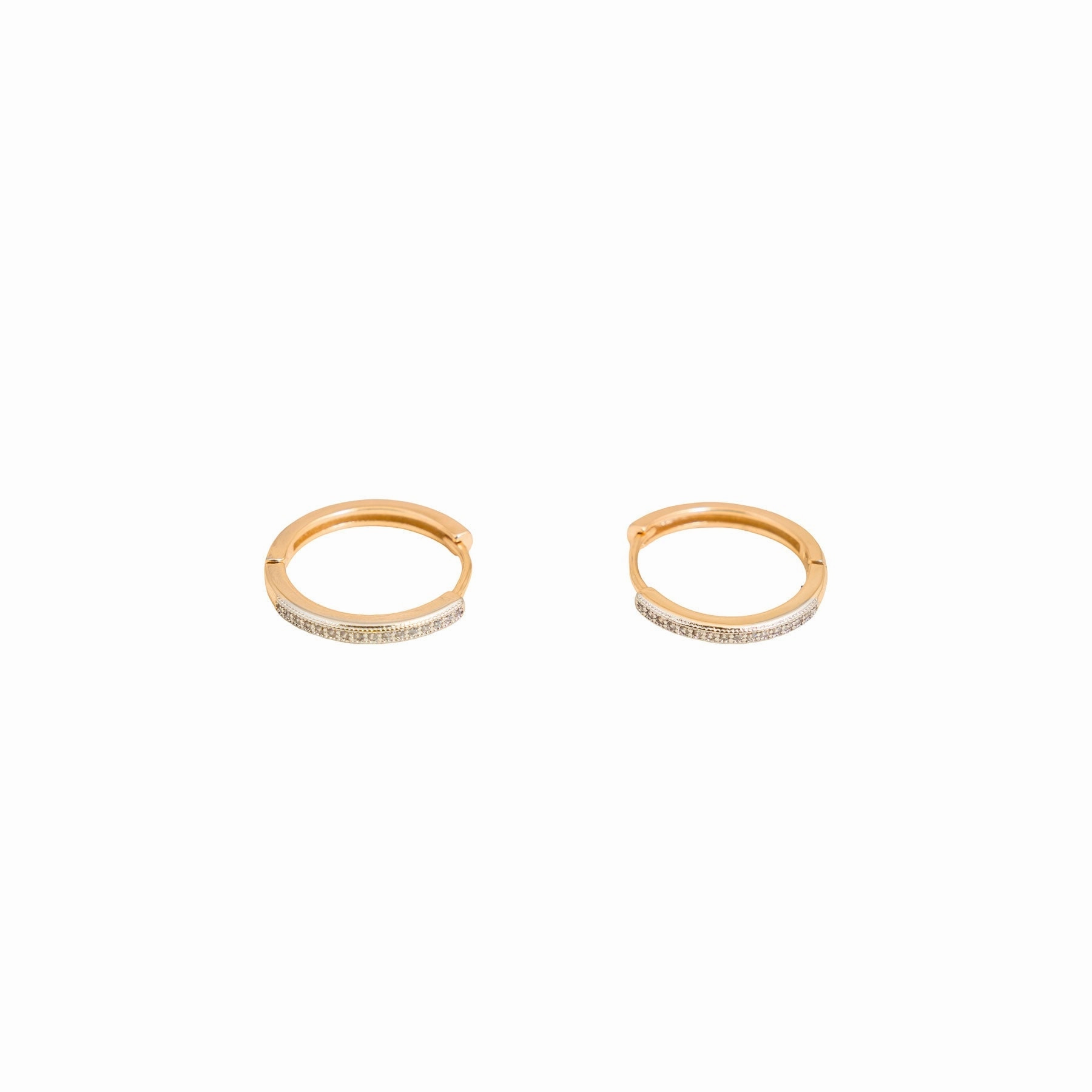 Earrings- J0609074