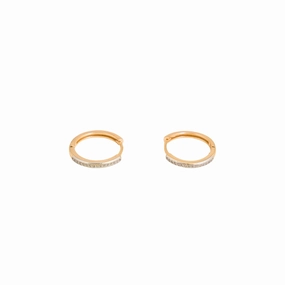 Earrings- J0609074