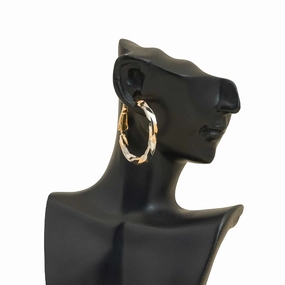Earrings- J0609374