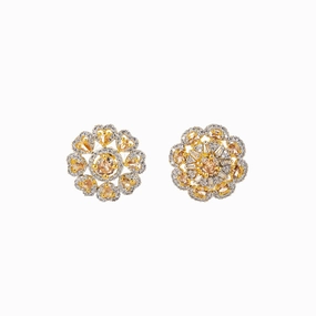 Earrings- T0443174