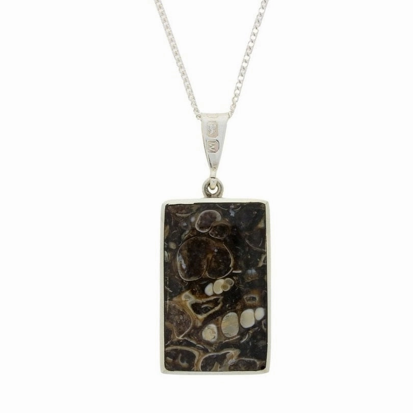 Lapis Lazuli And Turritella Agate Sterling Silver Reversible Pendant And Chain