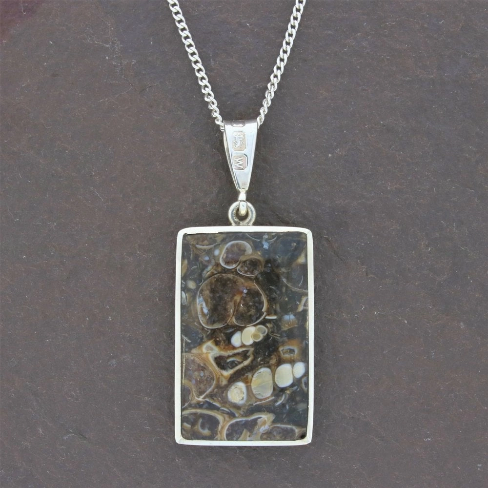 Lapis Lazuli And Turritella Agate Sterling Silver Reversible Pendant And Chain