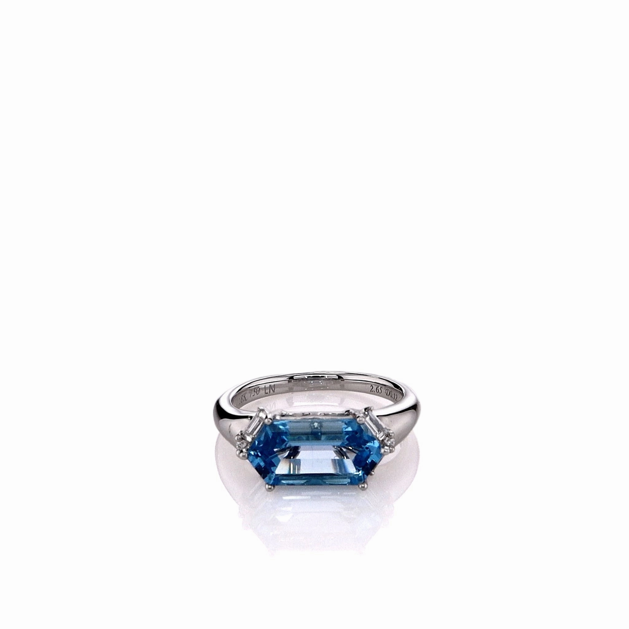 Lisa Nik 18k White Gold Blue Topaz and Diamond East and West Ring