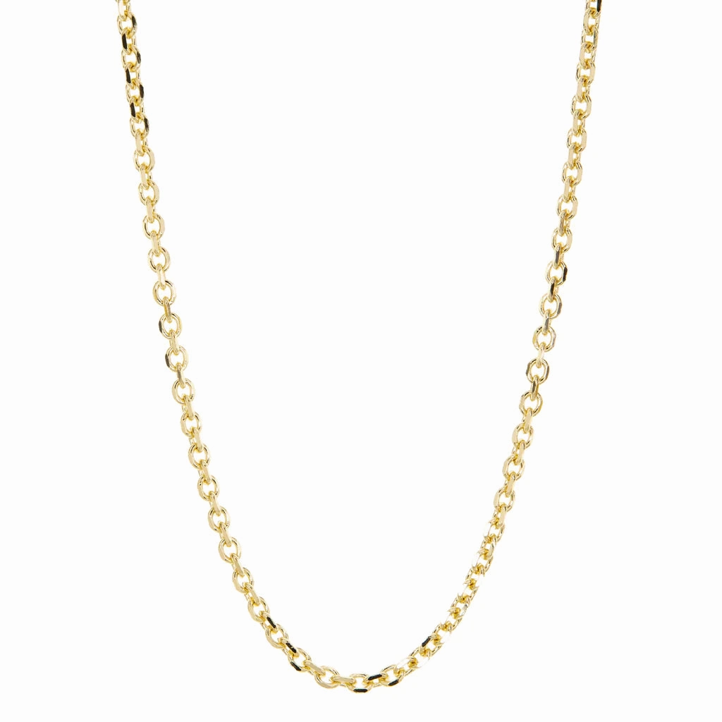 Marlyn Schiff 32" Cable Chain Necklace