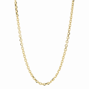 Marlyn Schiff 32" Cable Chain Necklace
