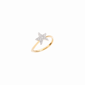 Ring with diamond star