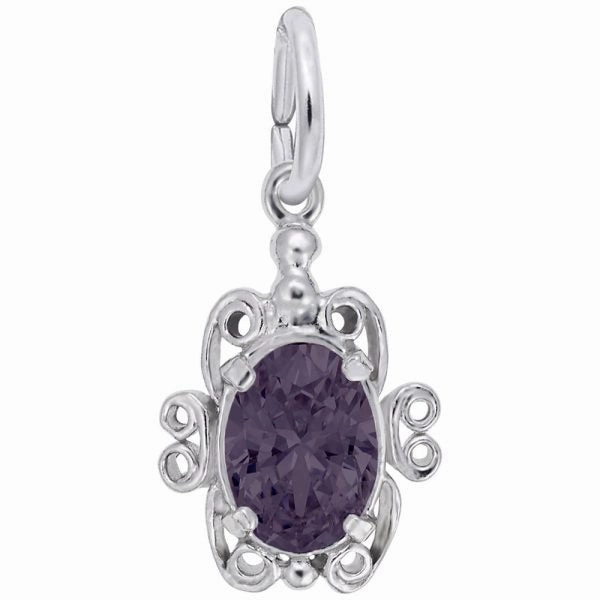 Sterling Silver Birthstone Charm