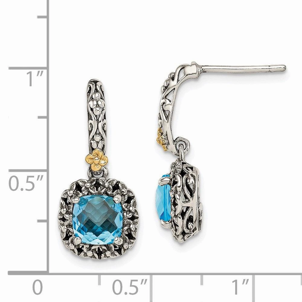 Sterling Silver w/ 14k Polished Blue Topaz Earrings