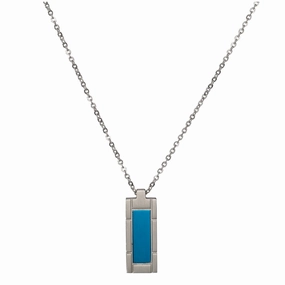 Unique & Co Stainless Steel Dog Tag Mens Necklace AN-105
