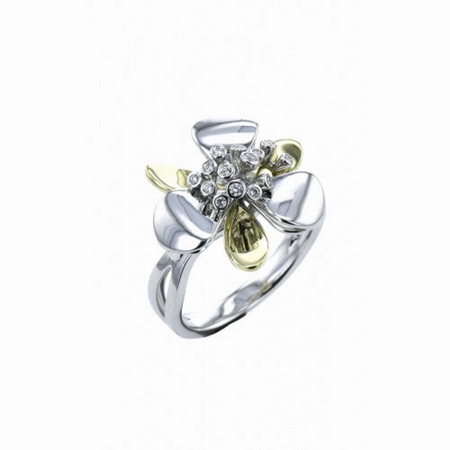 Zeghani Sg Ring Zr2380